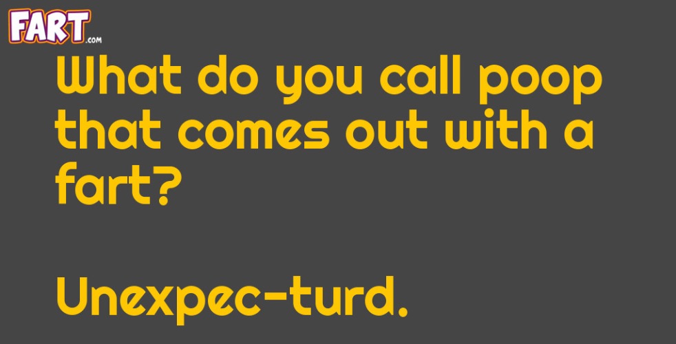 Turd N Fart | image tagged in turd,farts,fart jokes,bad joke,funny meme,poop | made w/ Imgflip meme maker