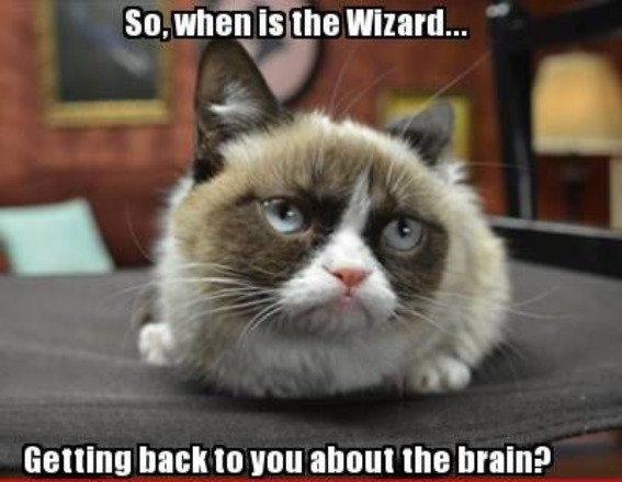 Wizard Brain | image tagged in grumpy cat,grumpy cat insults,cats,funny,duhhh dumbass,wizard | made w/ Imgflip meme maker