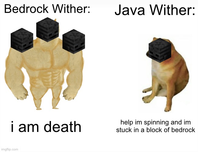 Java vs. Bedrock Wither | Bedrock Wither:; Java Wither:; i am death; help im spinning and im stuck in a block of bedrock | image tagged in buff doge vs cheems,minecraft | made w/ Imgflip meme maker