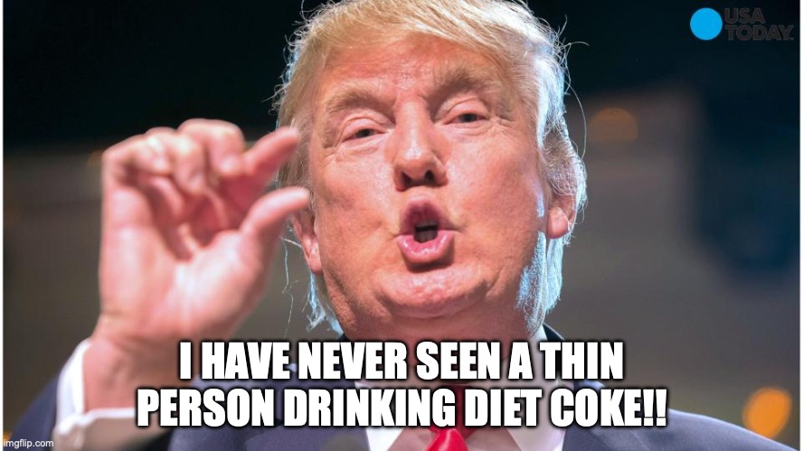 Donald Trump small brain | I HAVE NEVER SEEN A THIN PERSON DRINKING DIET COKE!! | image tagged in donald trump small brain | made w/ Imgflip meme maker