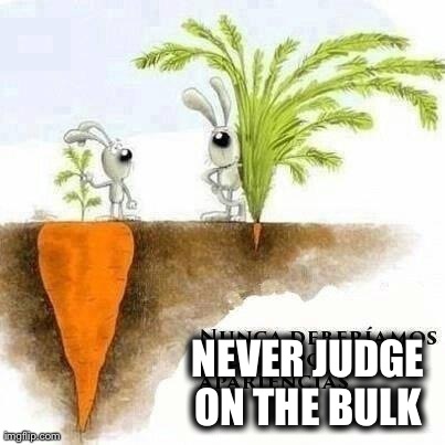 NEVER JUDGE ON THE BULK | image tagged in funny,rabbits | made w/ Imgflip meme maker