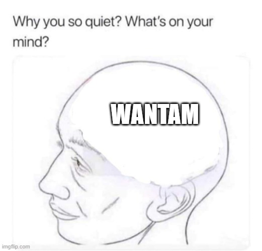 Wantam | WANTAM | image tagged in what's on your mind | made w/ Imgflip meme maker