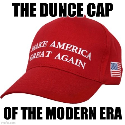 Sorry not | THE DUNCE CAP; OF THE MODERN ERA | image tagged in maga hat,memes | made w/ Imgflip meme maker