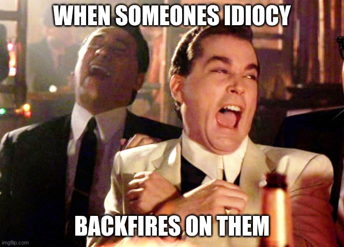 its a gag of life that will never get old | WHEN SOMEONES IDIOCY; BACKFIRES ON THEM | image tagged in memes,good fellas hilarious | made w/ Imgflip meme maker