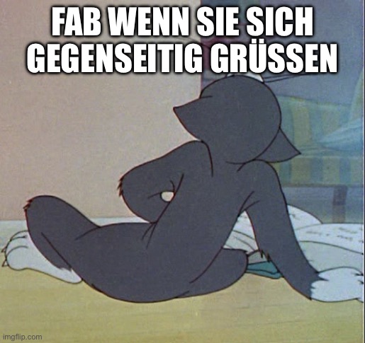 Tom jerking off | FAB WENN SIE SICH GEGENSEITIG GRÜSSEN | image tagged in tom jerking off | made w/ Imgflip meme maker
