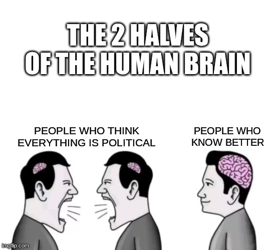 am Iying | THE 2 HALVES OF THE HUMAN BRAIN; PEOPLE WHO KNOW BETTER; PEOPLE WHO THINK EVERYTHING IS POLITICAL | image tagged in people arguinga,anti-politics | made w/ Imgflip meme maker