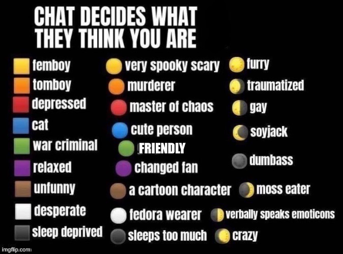Chat decides what they think you are | FRIENDLY | image tagged in chat decides what they think you are | made w/ Imgflip meme maker