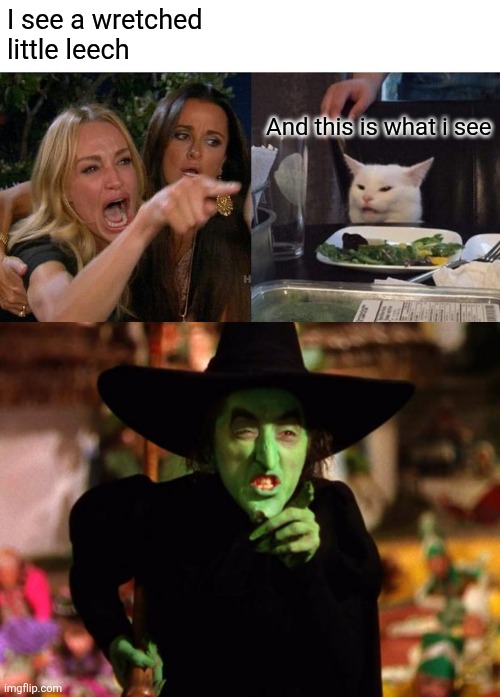 I see a wretched little leech; And this is what i see | image tagged in memes,woman yelling at cat,wicked witch | made w/ Imgflip meme maker