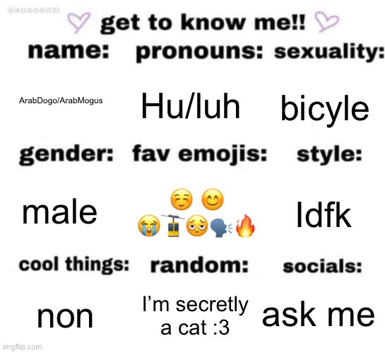 Replying to https://imgflip.com/i/9up1fb (note: I made ts as a joke) | ArabDogo/ArabMogus; Hu/luh; bicyle; ☺️ 😊 😭🚡🫩🗣️🔥; Idfk; male; ask me; I’m secretly a cat :3; non | image tagged in get to know me but better | made w/ Imgflip meme maker