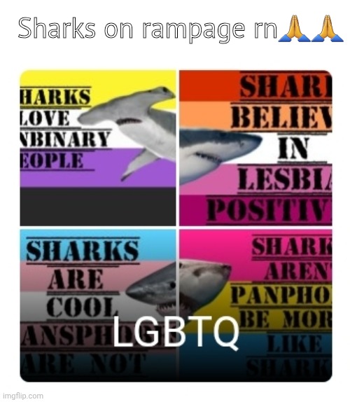 Sharks | Sharks on rampage rn🙏🙏 | image tagged in shark | made w/ Imgflip meme maker