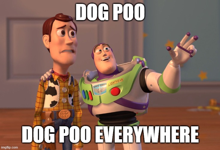 Dog Poo | DOG POO; DOG POO EVERYWHERE | image tagged in memes,x x everywhere | made w/ Imgflip meme maker