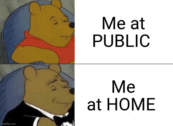 Tuxedo Winnie The Pooh Meme | Me at PUBLIC; Me at HOME | image tagged in memes,tuxedo winnie the pooh | made w/ Imgflip meme maker