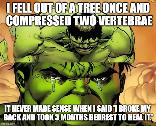 I FELL OUT OF A TREE ONCE AND
 COMPRESSED TWO VERTEBRAE IT NEVER MADE SENSE WHEN I SAID 'I BROKE MY 
BACK AND TOOK 3 MONTHS BEDREST TO HEAL  | image tagged in crying hulk | made w/ Imgflip meme maker