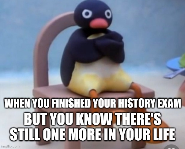 Angry pingu | WHEN YOU FINISHED YOUR HISTORY EXAM; BUT YOU KNOW THERE'S STILL ONE MORE IN YOUR LIFE | image tagged in angry pingu,angry,history,exams,pingu,mad | made w/ Imgflip meme maker