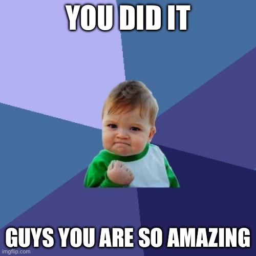 You Did It | YOU DID IT; GUYS YOU ARE SO AMAZING | image tagged in memes,success kid | made w/ Imgflip meme maker