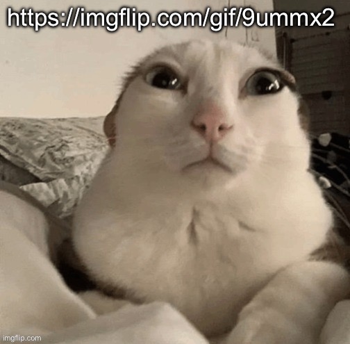 goober | https://imgflip.com/gif/9ummx2 | image tagged in goober | made w/ Imgflip meme maker