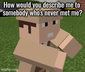 Curiuos | How would you describe me to 
somebody who's never met me? | image tagged in angry man pointing at hand minecraft | made w/ Imgflip meme maker