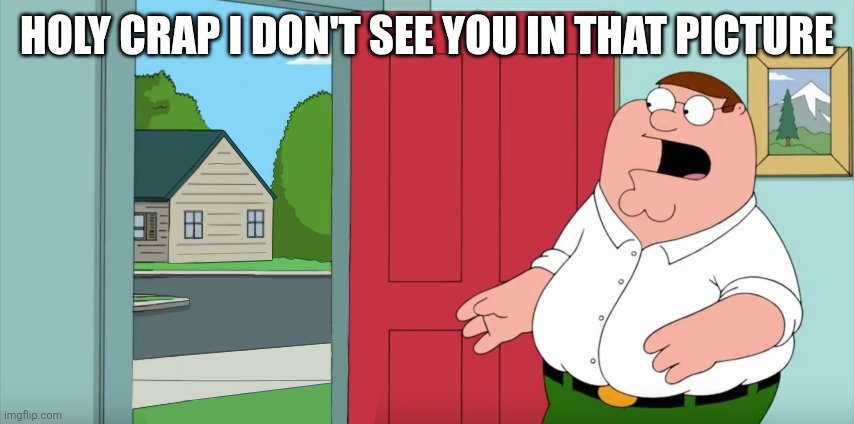Holy crap Lois its x | HOLY CRAP I DON'T SEE YOU IN THAT PICTURE | image tagged in holy crap lois its x | made w/ Imgflip meme maker