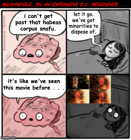 D.C. nights. | MEANWHILE, IN AN EXPENSIVE D.C. RESIDENCE . . . i can't get
past that habeas
corpus snafu. it's like we've seen
this movie before . . . | image tagged in memes,kristi noem,brain before sleep | made w/ Imgflip meme maker