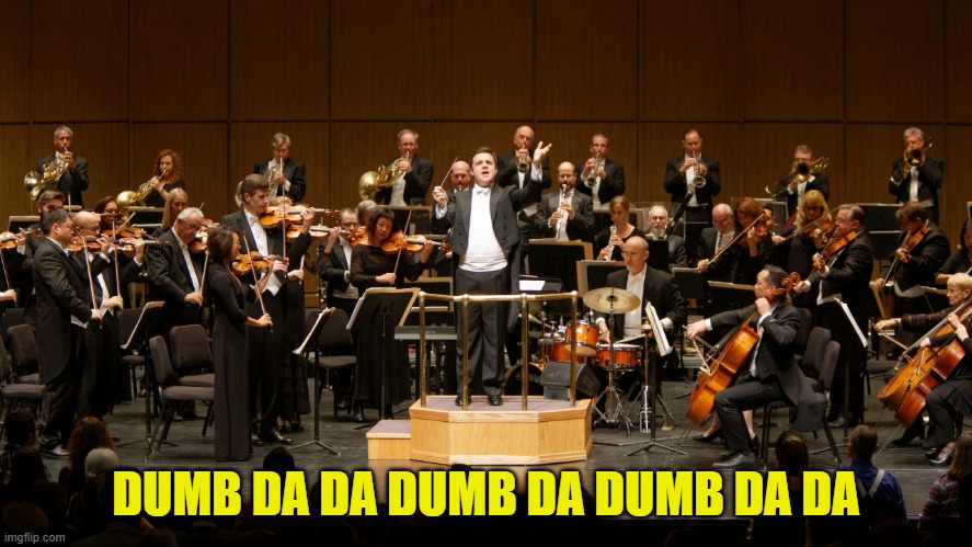 Orchestra | DUMB DA DA DUMB DA DUMB DA DA | image tagged in orchestra | made w/ Imgflip meme maker