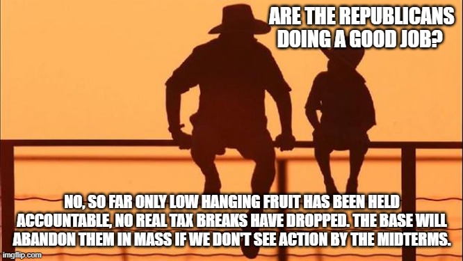 Cowboy wisdom, so far, the Republican congress has failed us | ARE THE REPUBLICANS DOING A GOOD JOB? NO, SO FAR ONLY LOW HANGING FRUIT HAS BEEN HELD ACCOUNTABLE, NO REAL TAX BREAKS HAVE DROPPED. THE BASE WILL ABANDON THEM IN MASS IF WE DON'T SEE ACTION BY THE MIDTERMS. | image tagged in cowboy father and son,do nothing congress,cowboy wisdom,step it up,reforms now,vote them out | made w/ Imgflip meme maker