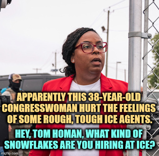 The Trump people didn't think ahead. The Democrats in Congress are not finished with ICE. | APPARENTLY THIS 38-YEAR-OLD 
CONGRESSWOMAN HURT THE FEELINGS 
OF SOME ROUGH, TOUGH ICE AGENTS. HEY, TOM HOMAN, WHAT KIND OF 
SNOWFLAKES ARE YOU HIRING AT ICE? | image tagged in trump,immigration,ice,congress,intimidation | made w/ Imgflip meme maker