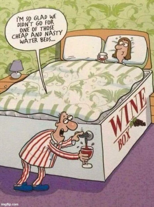 Craziest beds to sleep in | image tagged in comic,repost | made w/ Imgflip meme maker