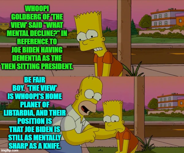 All true, but to be honest I just wanted to use 'libtardia' in a sentence. | WHOOPI GOLDBERG OF 'THE VIEW' SAID "WHAT MENTAL DECLINE?" IN REFERENCE TO JOE BIDEN HAVING DEMENTIA AS THE THEN SITTING PRESIDENT. BE FAIR BOY.  'THE VIEW' IS WHOOPI'S HOME PLANET OF LIBTARDIA, AND THEIR POSITION IS THAT JOE BIDEN IS STILL AS MENTALLY SHARP AS A KNIFE. | image tagged in homer and bart worst day so far | made w/ Imgflip meme maker
