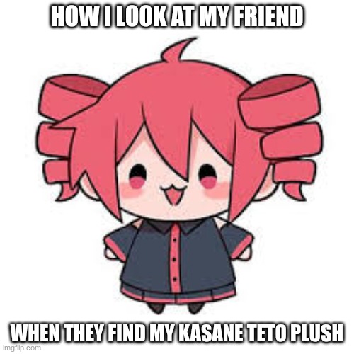 teto | HOW I LOOK AT MY FRIEND; WHEN THEY FIND MY KASANE TETO PLUSH | image tagged in teto | made w/ Imgflip meme maker