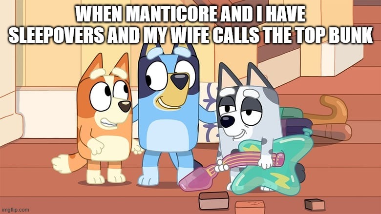 man cave sleepover parties | WHEN MANTICORE AND I HAVE SLEEPOVERS AND MY WIFE CALLS THE TOP BUNK | image tagged in sleepover,funny | made w/ Imgflip meme maker