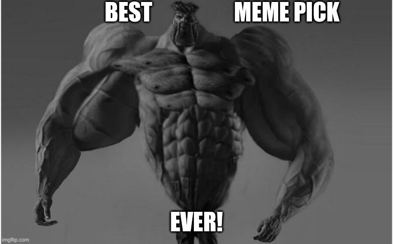buff man meme | BEST                   MEME PICK; EVER! | image tagged in strong,big | made w/ Imgflip meme maker