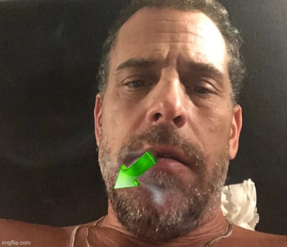 Hunter biden crackhead | image tagged in hunter biden crackhead | made w/ Imgflip meme maker