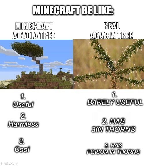 Minecraft be like | MINECRAFT ACACIA TREE; MINECRAFT BE LIKE:; REAL ACACIA TREE; 1.  BARELY USEFUL; 1. Useful; 2. Harmless; 2. HAS 3IN THORNS; 3. Cool; 3. HAS POISON IN THORNS | image tagged in funny memes,memes,minecraft | made w/ Imgflip meme maker