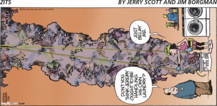 Zits | image tagged in comics | made w/ Imgflip meme maker