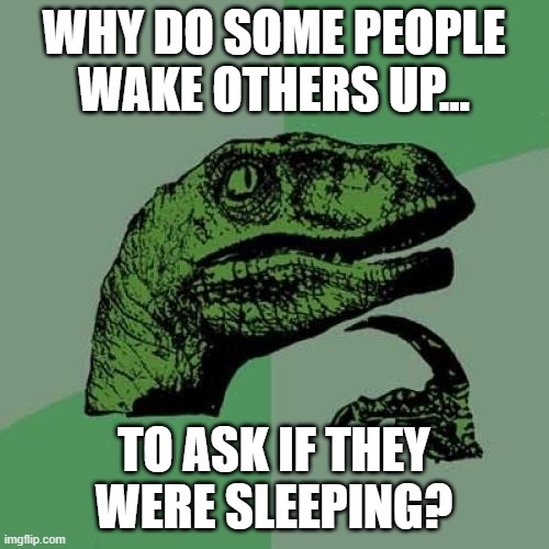 Philosoraptor Meme | WHY DO SOME PEOPLE WAKE OTHERS UP... TO ASK IF THEY WERE SLEEPING? | image tagged in memes,philosoraptor | made w/ Imgflip meme maker