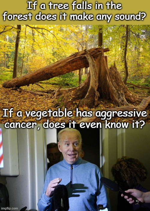 21st Century philosophy | If a tree falls in the forest does it make any sound? If a vegetable has aggressive cancer, does it even know it? | image tagged in if a tree falls on bobby he hears it will bobby go inside,biden | made w/ Imgflip meme maker