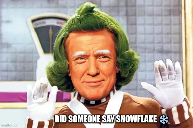 Snowing Everywhere | DID SOMEONE SAY SNOWFLAKE ❄️ | image tagged in oompa loompa trump,snowflakes,wimp,left,right | made w/ Imgflip meme maker
