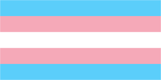 trans flag Blank Meme Template