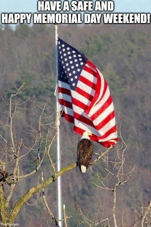 Have A Safe And Happy Memorial Day Weekend! | HAVE A SAFE AND HAPPY MEMORIAL DAY WEEKEND! | image tagged in chrisjoines1 | made w/ Imgflip meme maker