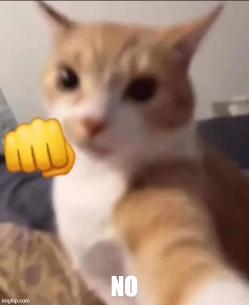 Punching cat | NO | image tagged in punching cat | made w/ Imgflip meme maker