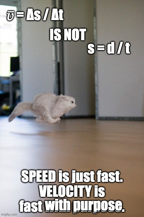 Speed is just fast; velocity is fast *with purpose* | 𝑣̅ = Δs / Δt; IS NOT; s = d / t; SPEED is just fast.
VELOCITY is fast with purpose. with purpose | image tagged in levitation,cat,that fast,the flash | made w/ Imgflip meme maker