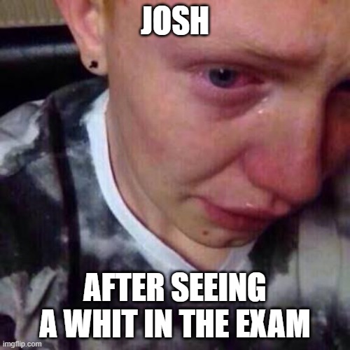 Feel like pure shit | JOSH; AFTER SEEING A WHIT IN THE EXAM | image tagged in feel like pure shit | made w/ Imgflip meme maker