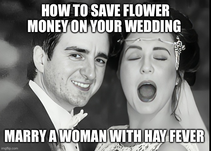 Allergic to commitment | HOW TO SAVE FLOWER MONEY ON YOUR WEDDING; MARRY A WOMAN WITH HAY FEVER | image tagged in allergic to commitment | made w/ Imgflip meme maker
