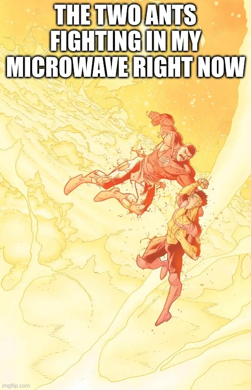 THE TWO ANTS FIGHTING IN MY MICROWAVE RIGHT NOW | made w/ Imgflip meme maker