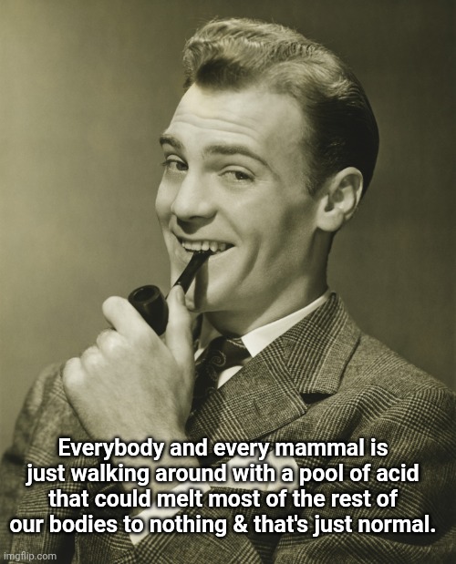 Smug | Everybody and every mammal is just walking around with a pool of acid that could melt most of the rest of our bodies to nothing & that's just normal. | image tagged in smug | made w/ Imgflip meme maker