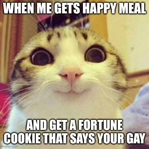 Smiling Cat | WHEN ME GETS HAPPY MEAL; AND GET A FORTUNE COOKIE THAT SAYS YOUR GAY | image tagged in memes,smiling cat | made w/ Imgflip meme maker