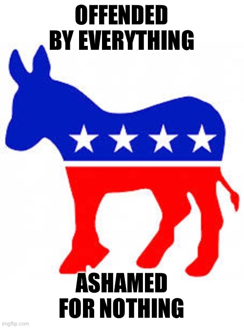 Democrat donkey | OFFENDED BY EVERYTHING; ASHAMED FOR NOTHING | image tagged in democrat donkey | made w/ Imgflip meme maker