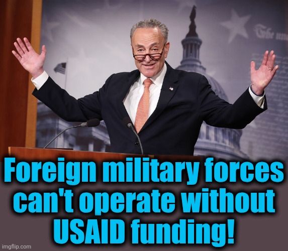 Chuck Schumer | Foreign military forces
can't operate without
USAID funding! | image tagged in chuck schumer | made w/ Imgflip meme maker