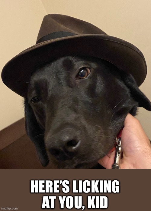 HERE’S LICKING AT YOU, KID | made w/ Imgflip meme maker