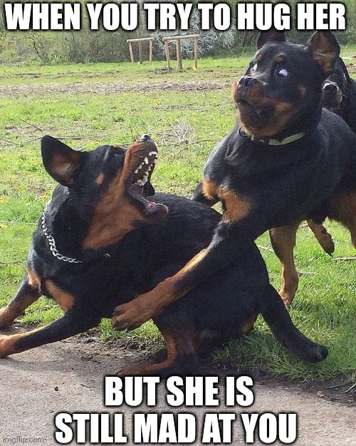 When Try To Hug Her But She Is Still Mad At You | WHEN YOU TRY TO HUG HER; BUT SHE IS STILL MAD AT YOU | image tagged in chrisjoines1 | made w/ Imgflip meme maker
